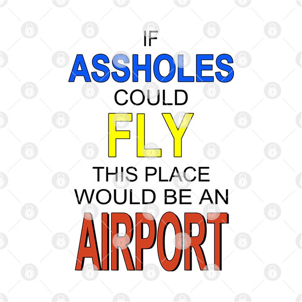 If Assholes Could Fly Shirt This Place Would Be An Airport Size Up To 5xl 